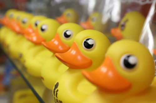 鼠头鸭玩具全网被禁,商家可能损失数百万,千万别透支了公信力