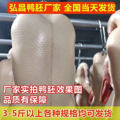 冻鸭坯需要解冻-弘昌养殖设备-宿州鸭坯